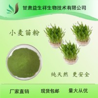 小麦苗粉 小麦草粉 99.9%   小麦若叶青汁粉