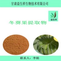 冬葵果提取物10:1 冬葵果粉