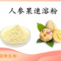 人参果速溶粉 全水溶 固体饮料原料 斯诺特生产现货直发