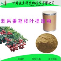 番荔枝提取物 番荔枝果粉