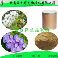 紫茎泽兰提取物 10:1   紫茎泽兰粉
