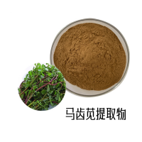 马齿笕提取物 马齿苋多糖30%50%