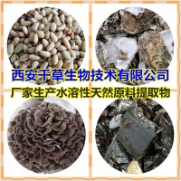 小麦麸提取物小麦麸浸膏粉 供应多规格小麦麸浓缩原液
