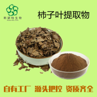 柿子叶提取物 柿子叶浓缩粉 斯诺特工厂 库存充足