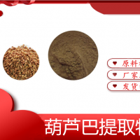 葫芦巴提取物厂家供应