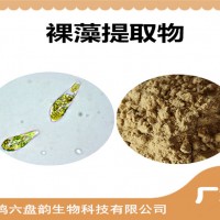 裸藻提取物 比例提取 裸藻粉 新资源食品原料