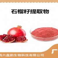石榴籽提取物 植物提取物 石榴籽粉
