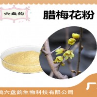 腊梅花浓缩粉 比例提取可定制 腊梅花粉