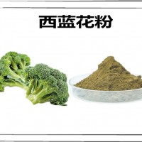 西蓝花速溶粉 水溶性西蓝花粉 果蔬粉