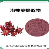 洛神葵提取物 洛神葵粉 玫瑰茄提取物
