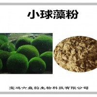 蛋白核小球藻速溶粉 新资源食品原料 蛋白核小球藻粉