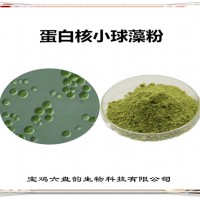 蛋白核小球藻粉 小球藻提取物 新资源食品