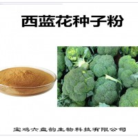 西蓝花种子浓缩粉 植物提取物 西蓝花种子粉 西兰花种子粉