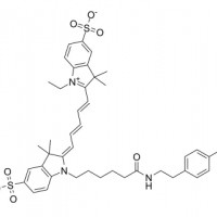 Cyanine 5 Tyramide1431148-26-3