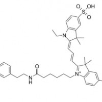 Tyramide-Cy3 ,174961-75-2荧光试剂