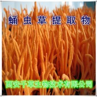蛹虫草提取物 厂家供应植物提取物 定做流浸膏