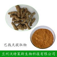 巴戟天  巴戟天提取物 植物提取物