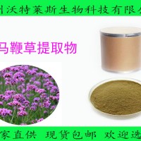 马鞭草提取物  马鞭草浸膏粉 规格10:1