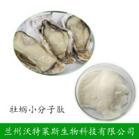 牡蛎蛋白 45% 优质男性原料 厂家直销 牡蛎肉粉