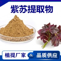 紫苏叶提取物 厂家供应紫苏叶粉 药食同源 喷雾干燥