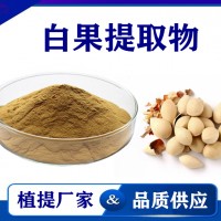 白果提取物 水溶性白果粉白果速溶粉 斯诺特生物