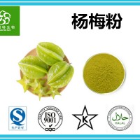 杨梅粉 杨梅果粉 杨梅速溶粉 扶风生产基地 水果粉批发零售