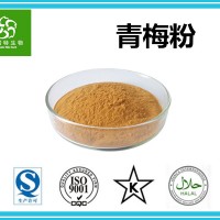 青梅粉 青梅速溶粉 青梅果粉 扶风生产基地畅销水果粉