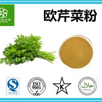 欧芹粉 欧芹菜粉 芹菜提取物 扶风生产基地专业供应果蔬粉