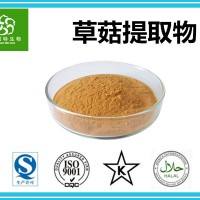 草菇提取物 草菇多糖30% 草菇粉 扶风生产基地现货批发