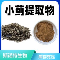 小蓟提取物 速溶小蓟粉 食品级原料 库存充足