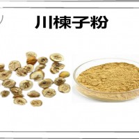 川楝子浓缩粉 植物提取物 川楝子粉