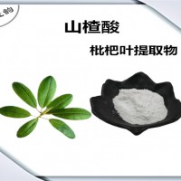 枇杷叶提取物 可定制生产 山楂酸 植物提取物
