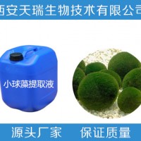 小球藻粉  现货供应 裸藻粉小球藻