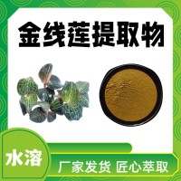金线莲提取物 水溶金线莲粉 新食品原料