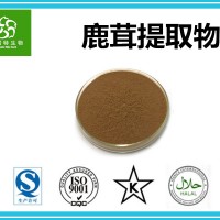 鹿茸提取物 速溶鹿茸粉 可接受定制 工厂直接生产销售