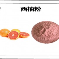 西柚浓缩粉 西柚粉 植物萃取原料 葡萄柚浓缩粉