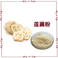 莲藕粉 莲藕提取物 食品级原料