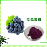 蓝莓酵素粉 蓝莓果粉 提取物 食品级原料