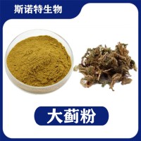 大蓟提取物 水溶性大蓟粉 植提厂家供应
