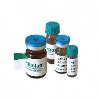 黄曲霉毒素B1/甲醇- 20 μg/mL液体标准品