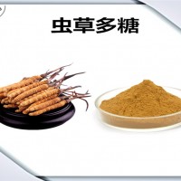 虫草提取物 生产厂家 虫草多糖