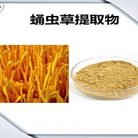 蛹虫草提取物 比例提取 蛹虫草粉
