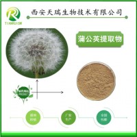 蒲公英提取物的厂家价格