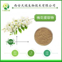 槐花提取物的厂家