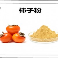 柿子浓缩粉 柿子粉 比例提取可定制 植物萃取原料