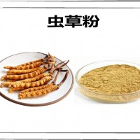 虫草浓缩粉 植物提取物 虫草粉 生产厂家