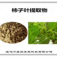 柿子叶提取物 柿子叶粉 六盘韵生产