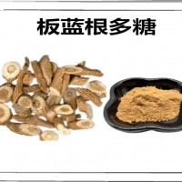 板蓝根提取物 可定制生产 板蓝根多糖