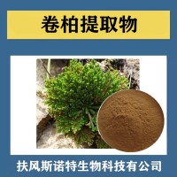 卷柏提取物 水溶性卷柏速溶粉 植提厂家供应