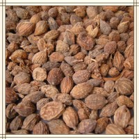 益智仁提取物 比例浓缩提取 水溶性好 喷雾干燥工艺 包邮